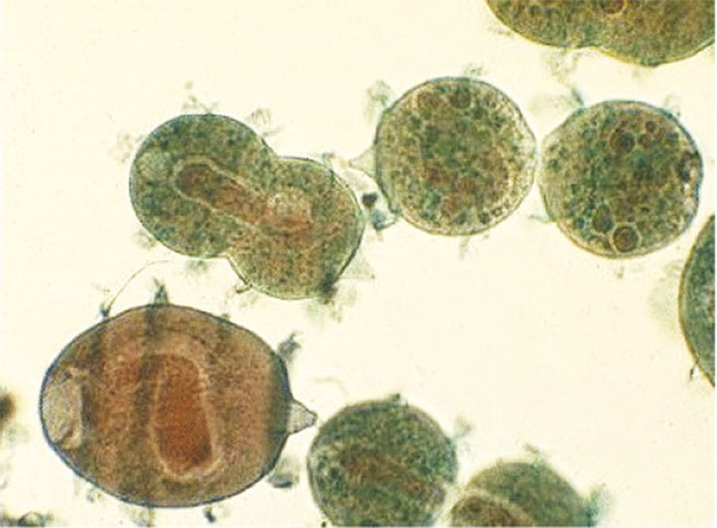 1656573511543417.jpg 1656573511543417.jpg