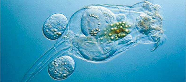 1656573511940463.jpg 1656573511940463.jpg